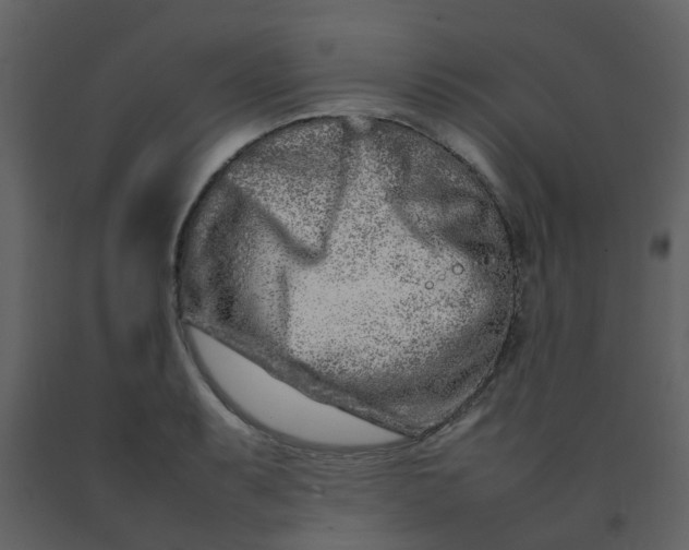 X0000092271087200710051334