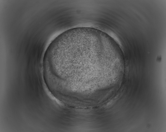 X0000092271088200710051334