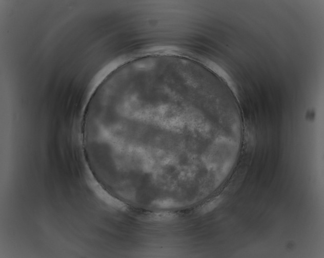 X0000092271090200710051334