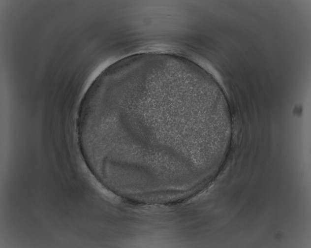 X0000092271091200710051334