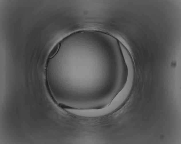 X0000092271093200710051334