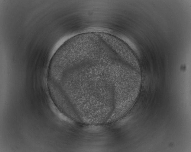 X0000092271094200710051334