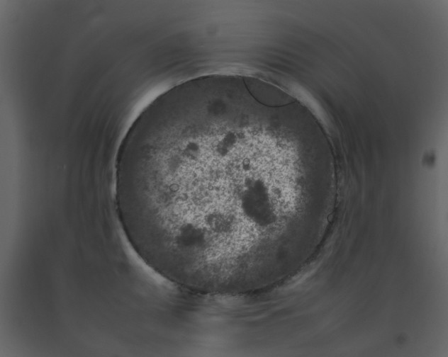 X0000092271095200710051334