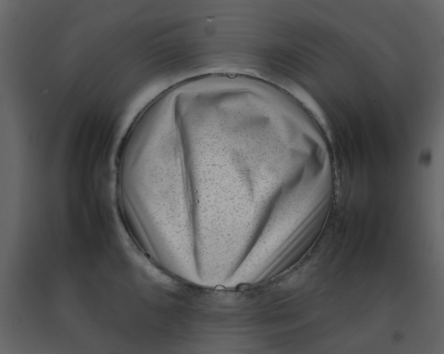 X0000092271096200710051334