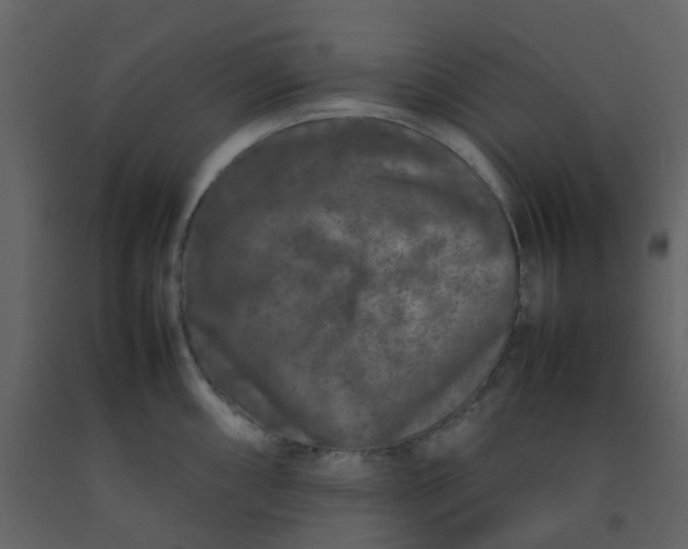 X0000092271098200710051334