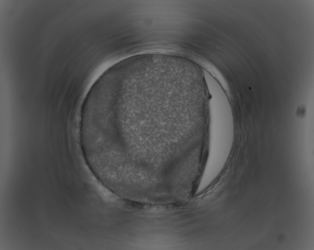 X0000092271099200710051334