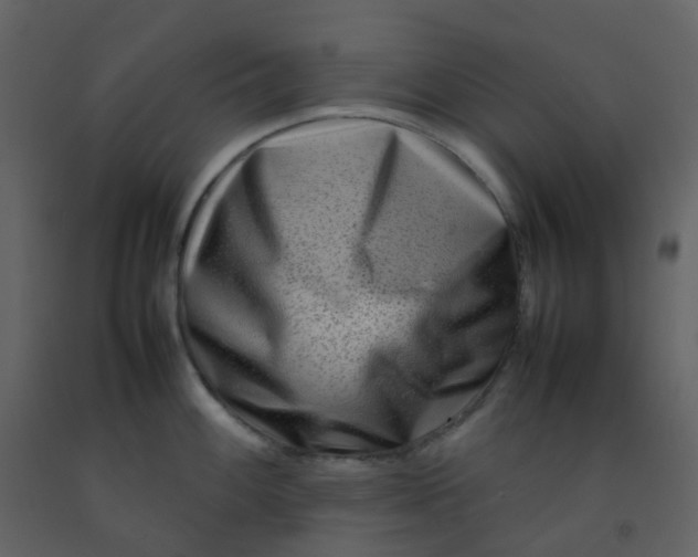 X0000092271100200710051334