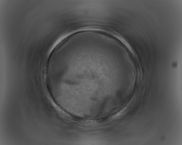 X0000092271101200710051334