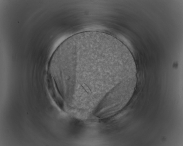 X0000092271103200710051334