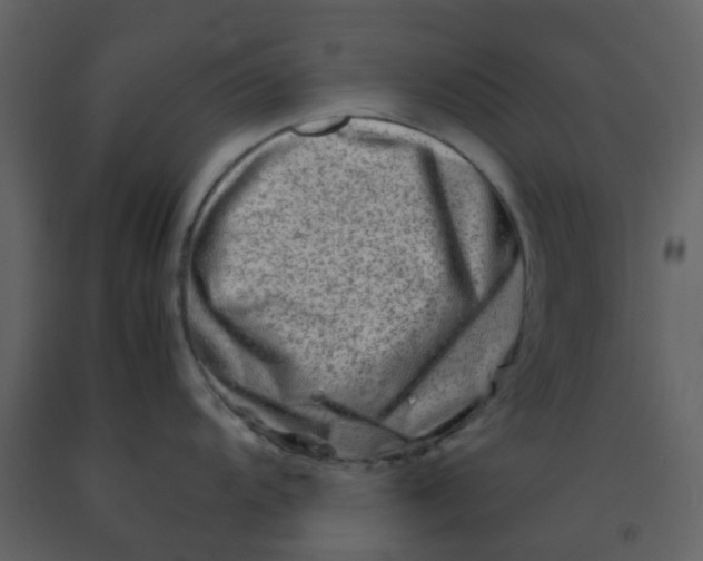 X0000092271104200710051334