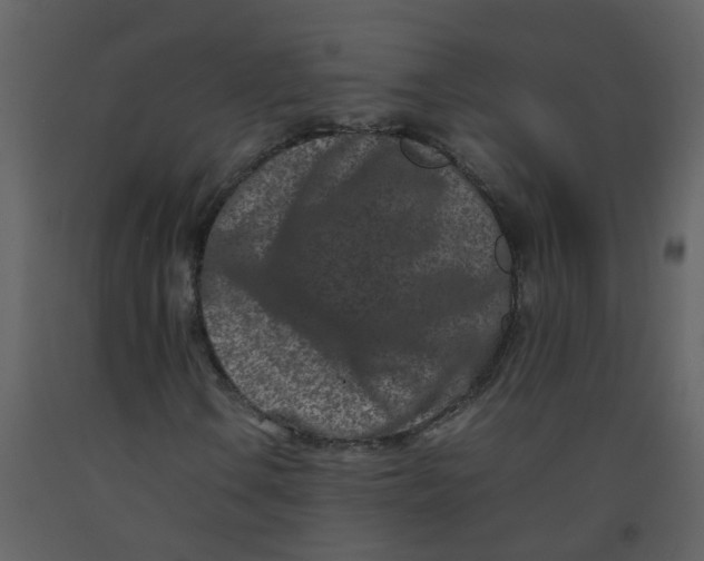 X0000092271106200710051333