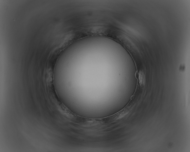 X0000092271107200710051333