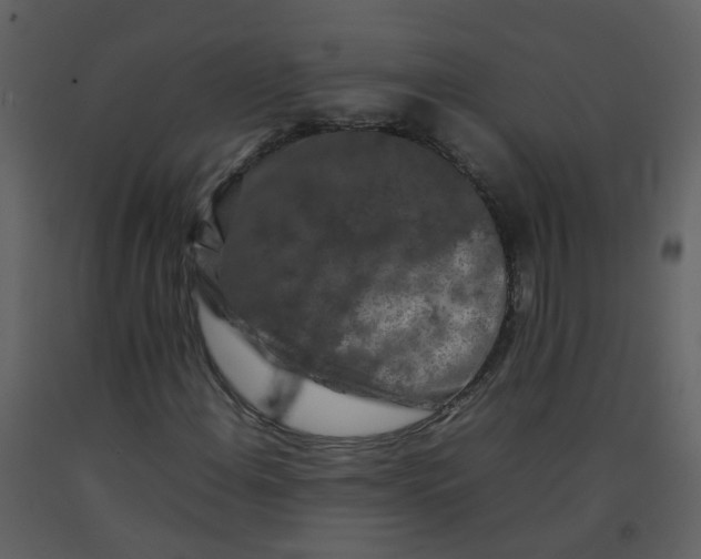 X0000092271108200710051333