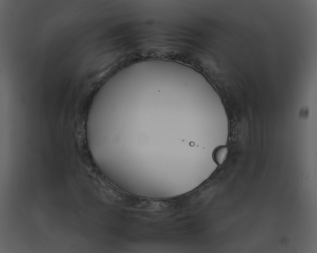 X0000092271109200710051333