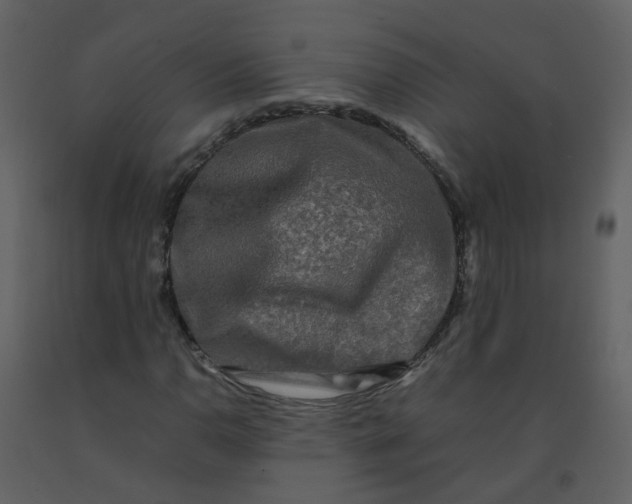 X0000092271110200710051333