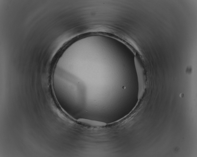 X0000092271116200710051333