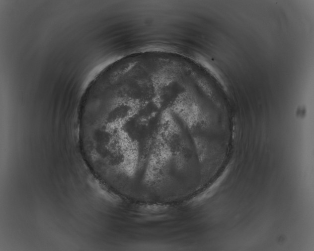 X0000092271117200710051333