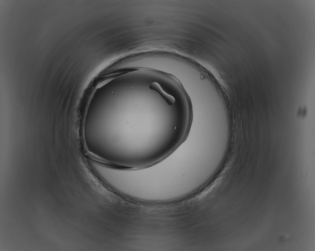 X0000092271118200710051333