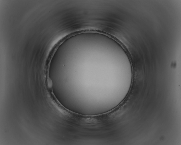 X0000092271119200710051334