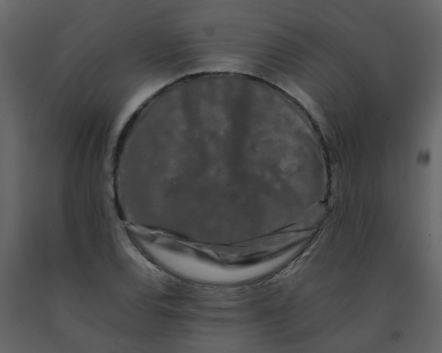 X0000092271120200710051334