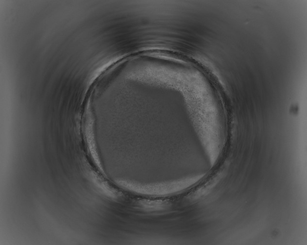 X0000092271121200710051334