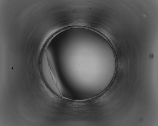 X0000092271123200710051334