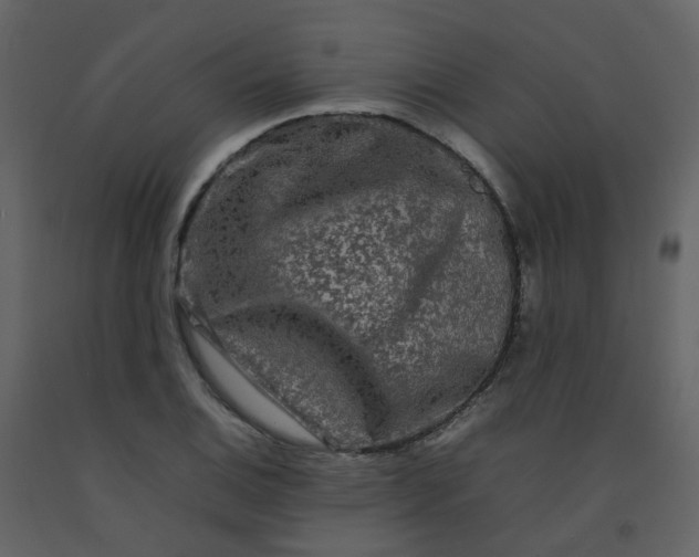 X0000092271124200710051334