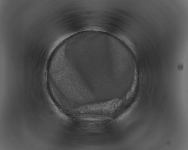 X0000092271125200710051334