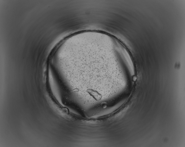 X0000092271126200710051334