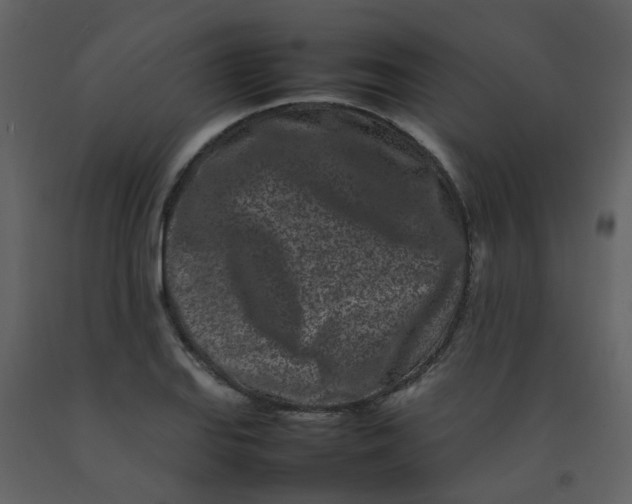 X0000092271127200710051334