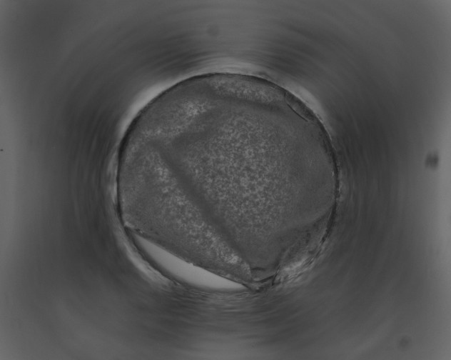 X0000092271128200710051334