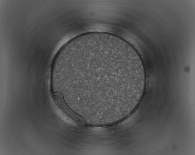 X0000092271130200710051334