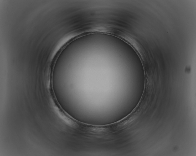 X0000092271131200710051334