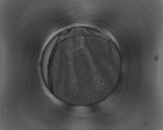 X0000092271132200710051334