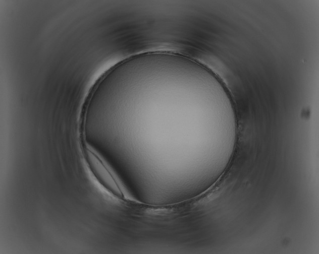 X0000092271135200710051334