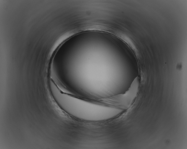 X0000092271138200710051334