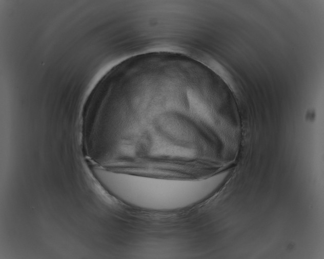 X0000092271140200710051334