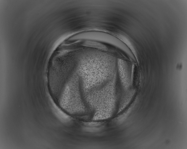 X0000092271141200710051334