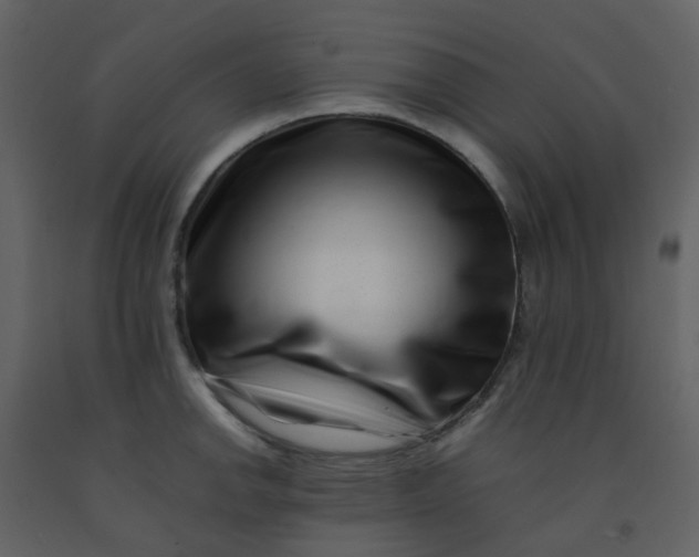 X0000092271142200710051334