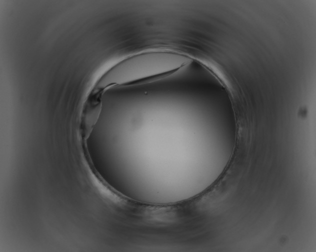 X0000092271143200710051334