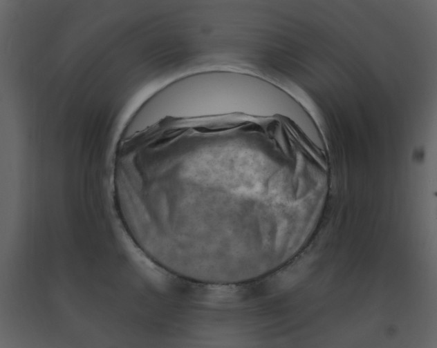 X0000092271144200710051334