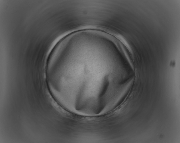 X0000092271148200710051334