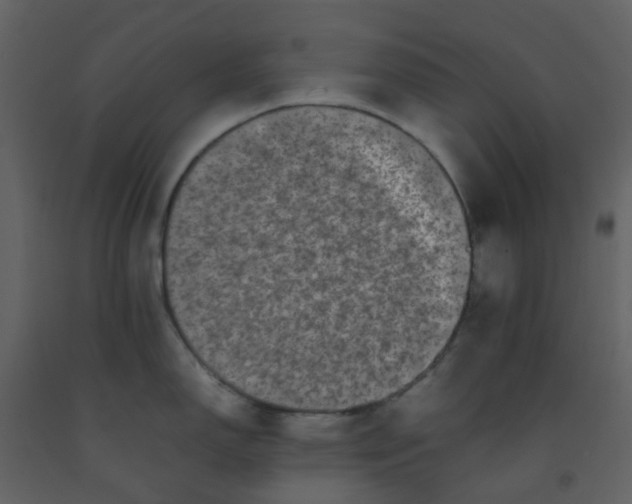 X0000092271150200710051334