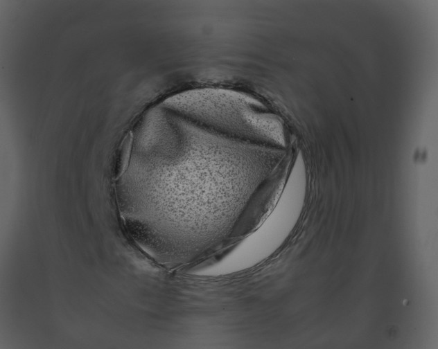 X0000092271153200710051333