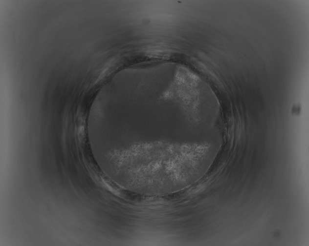 X0000092271154200710051333