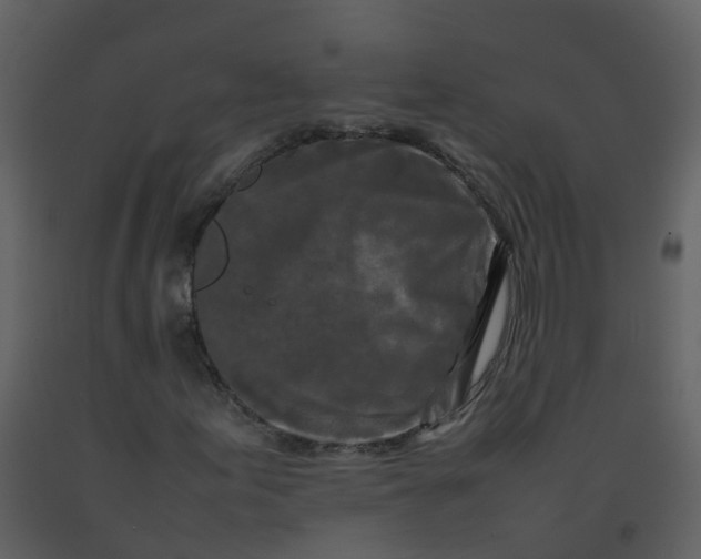 X0000092271155200710051333