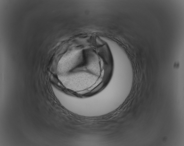 X0000092271157200710051333