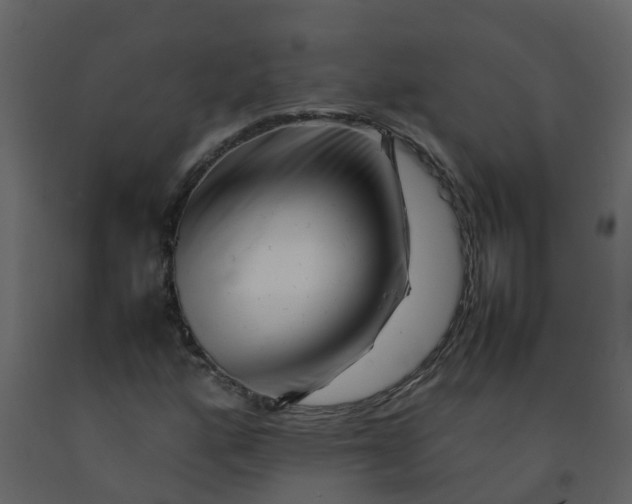 X0000092271160200710051333