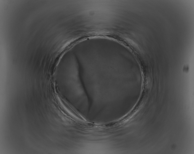 X0000092271161200710051333