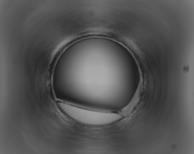 X0000092271164200710051333